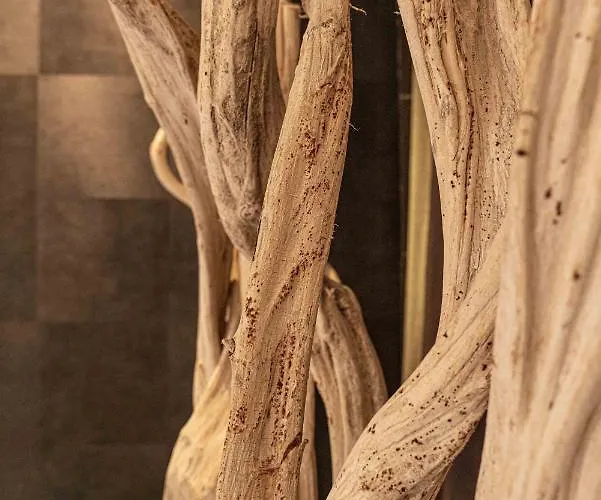 Hotel Le Parc - La Table De Franck Putelat